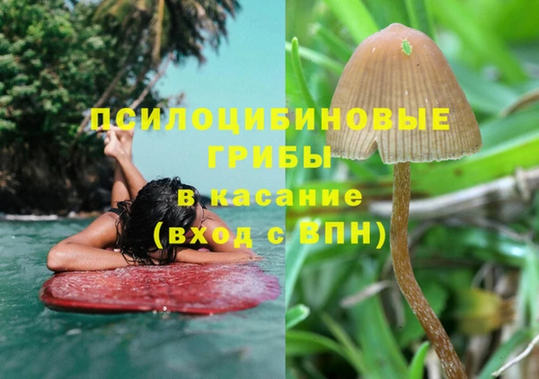 крисы Лихославль
