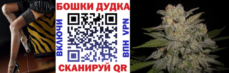Купить закладки  Нязепетровск  МАРИХУАНА SATIVA & INDICA 